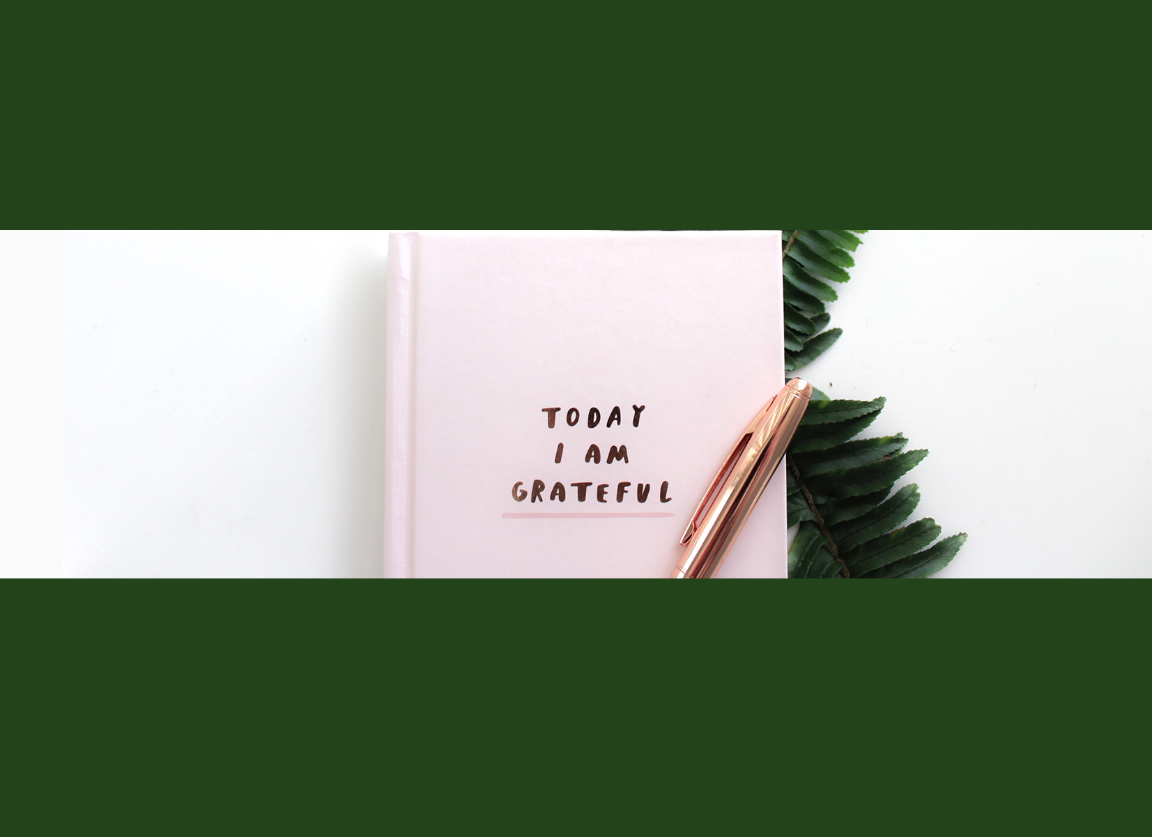 7 Days Of Gratitude Focus On The Family Australia