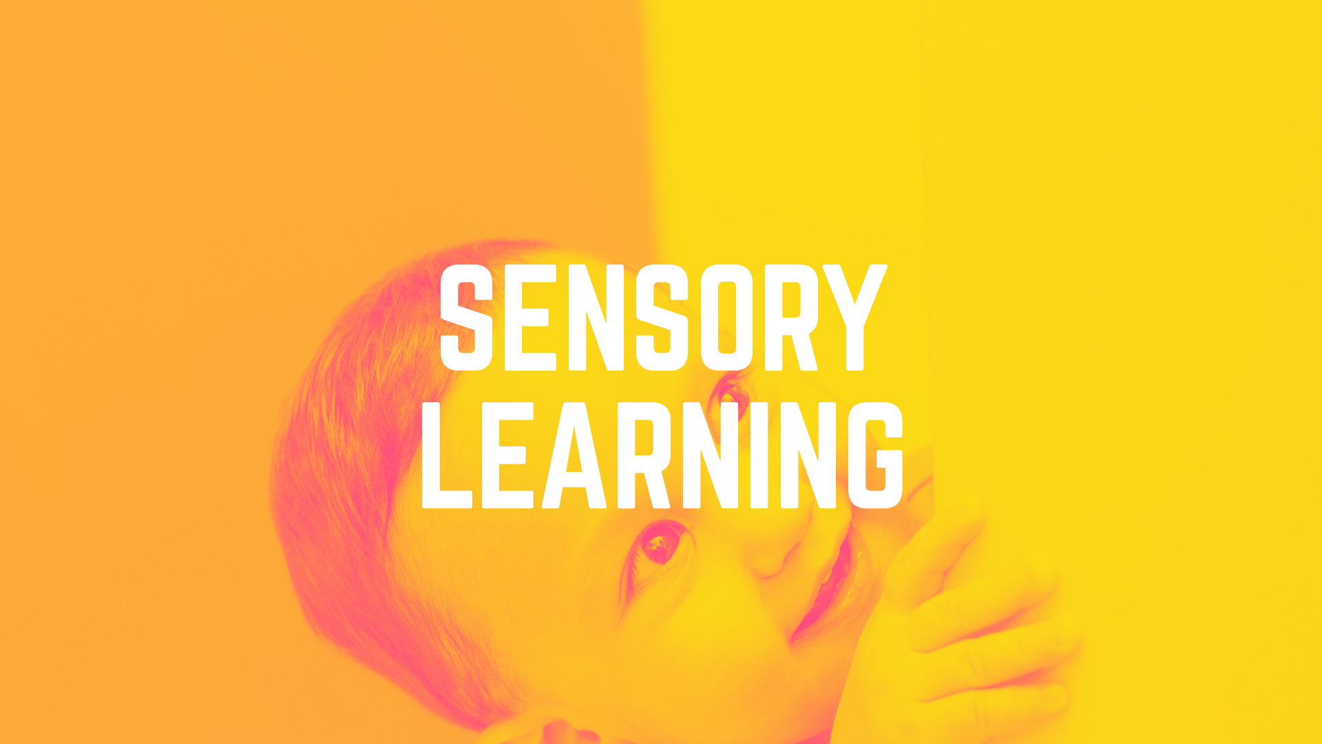 Sensory Learning Focus on the Family Australia